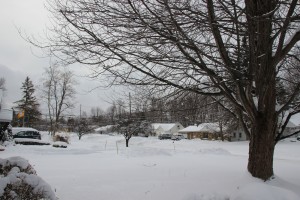 snowfall february 03 06