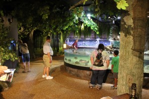 cleveland aquarium 06