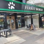 Ferret World